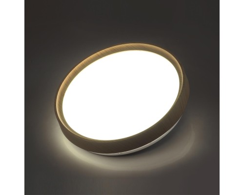 7603/DL PALE SN 018 Светильник пластик/белый/светл.коричневый под дерево LED 48Вт c ДУ 3000-6000К D400 IP43 пульт ДУ WOODI