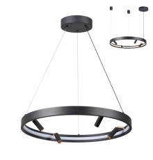 Подвесная светодиодная люстра с пультом ДУ Odeon Light Fonda 4317/58L 38W+20W 3000-6000K 