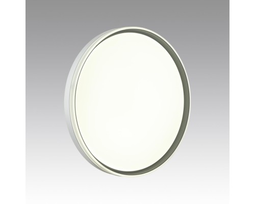 7631/DL PALE SN 043 Светильник пластик/белый/светло-серый LED 48Вт c ДУ 3000-6000К D390 IP43 пульт ДУ SAVI