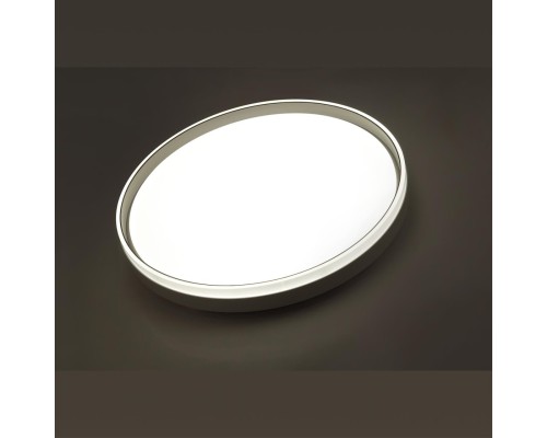 7631/DL PALE SN 043 Светильник пластик/белый/светло-серый LED 48Вт c ДУ 3000-6000К D390 IP43 пульт ДУ SAVI