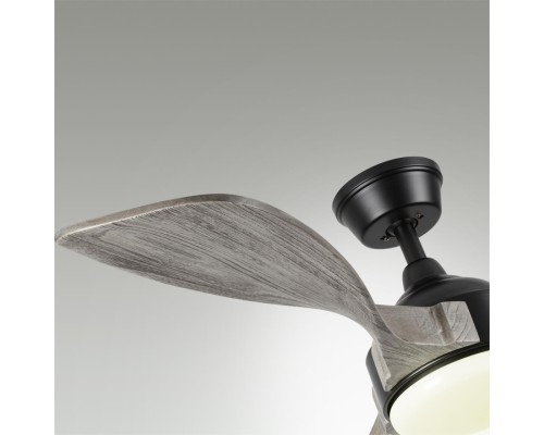 7702/24L VIVA LED SN 189 Люстра-вентилятор,  черный/серое дерево LED 24Вт 3000-6000K D1320 пульт ДУ STORM