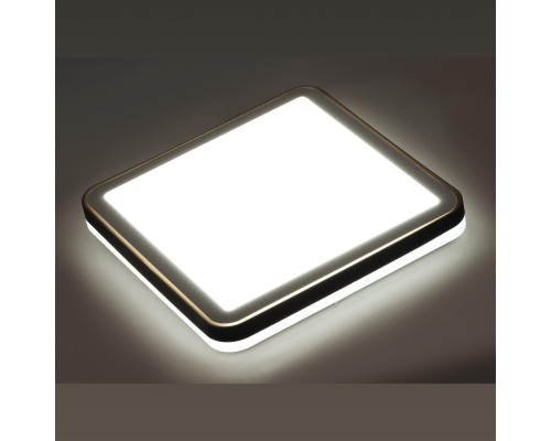 7621/DL PALE SN 047 Светильник пластик/белый/черный/медный LED 48Вт c ДУ 3000-4200-6300К 440х440 IP43 пульт ДУ EFFA