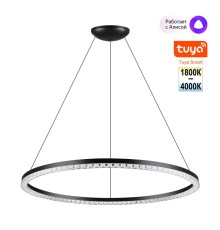 359711 LEDO NT25 000 черный Светильник подвесной диммир. со сменой цв.темпер. (пульт ДУ/прилож. Smart Life) IP20 LED 70W 220-240V 1800-4000К MONILE