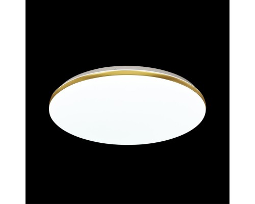 3043/DL SN 025 Светильник пластик/золотистый LED 48Вт 3000-6500К D385 IP43 пульт ДУ/ LampSmart LASSA