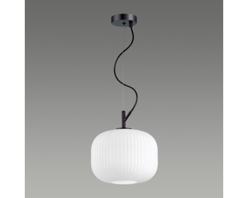 Подвес Odeon Light 4753/1 белый/черный E27 60W ROOFI