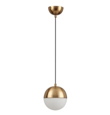 Подвесной светильник Odeon Light Pinga 4960/1 E27 1*40W 