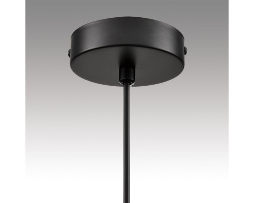 8232/1 COMFI LN25 черный/прозрачный, металл/стекло Подвес LED GX70 1*10W 220V NATALINA