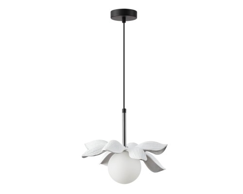 5616/1 SUSPENTIONI LN23 000 черный, белый Подвес G9 1*40W 220V TANZANIA