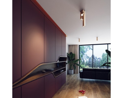 Настенно-потолочный светильник Odeon Light 3895/1C Duetta золотистый GU10 50 Вт