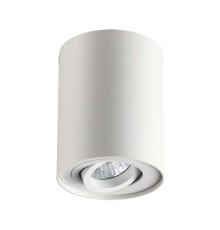 Потолочный светильник Odeon Light 3564/1C Pillaron белый