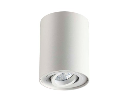 Потолочный светильник Odeon Light 3564/1C Pillaron белый