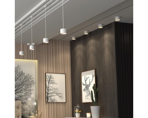 358651 OVER NT21 390 белый Светильник накладной светодиодный IP20 LED 4000К 12W 220V PATERA