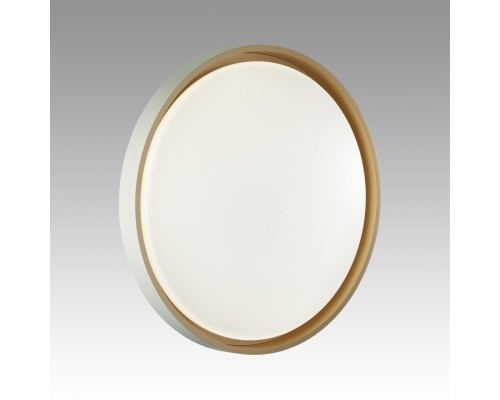 7645/ELN COLOR SN 158 Светильник пластик/белый/оранжевый LED 76Вт 3000/4000/6000К D520 IP43 CCT KISIL