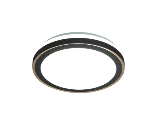 7620/DLN PALE SN 109 Светильник пластик/черный/медный LED 48Вт 3000/4000/6000K D390 IP43 CCT AKUNA