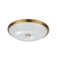 Потолочный светильник Odeon Light Pelow 4956/5 E14 5*40W 