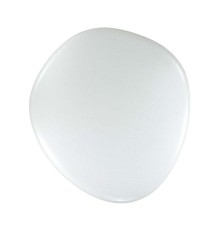 2039/DL COLOR SN 084 Светильник пластик/белый LED 48Вт 3000-6300K 500х460 IP43 пульт ДУ STONE