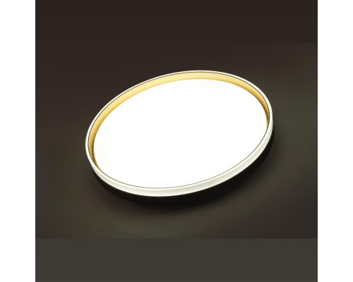 7619/ELN PALE SN 160 Светильник пластик/черн./золот. LED 76Вт 3000/4000/6000K D490 IP43 CCT SAVI