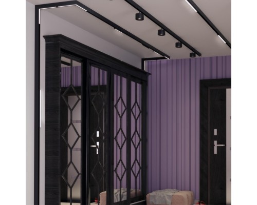 359502 SHINO NT24 137 черный Трековый низковольт. св-к диммир. со сменой цв.температуры, пульт ДУ/Tuya Smart Life IP20 LED 24W 48V 3000-6500K FLUM