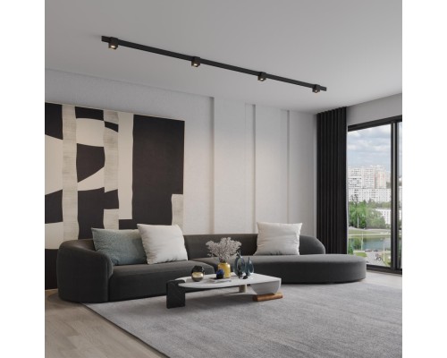 359519 SHINO NT24 130 черный Трековый низковольт. св-к диммир. со сменой цв.температуры, пульт ДУ/Tuya Smart Life IP20 LED 10W 48V 3000-6000K FLUM