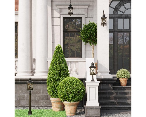 Уличный потолочный светильник Odeon Light 4045/1C Sation черный/золотая патина