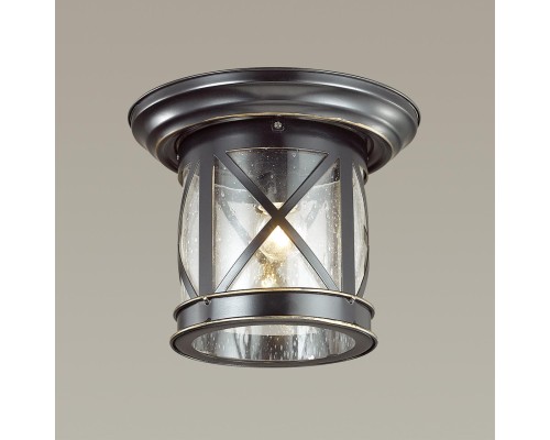 Уличный потолочный светильник Odeon Light 4045/1C Sation черный/золотая патина