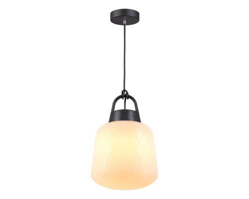 Ландшафтный подвес Novotech 370601 Conte белый абажур/черная арматура E27 60 Вт