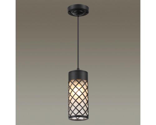 4834/1 NATURE ODL21 567 черный/стекло Ландшафтный светильник-подвес E27 1*60W IP44 DUNES