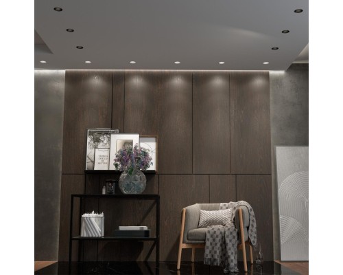 358909 SPOT NT22 черный Встраиваемый светодиодный светильник с переключателем цветовой температуры IP20 LED 3000К\4000К\6000К 12W 220V LANG