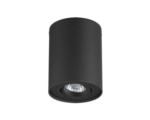 Потолочный светильник Odeon Light 3565/1C Pillaron черный