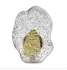 5460/12WLA L-VISION ODL_EX26 золотой/прозрачный/металл/стекло Настенный светильник LED x 12W 3000K CORALLA