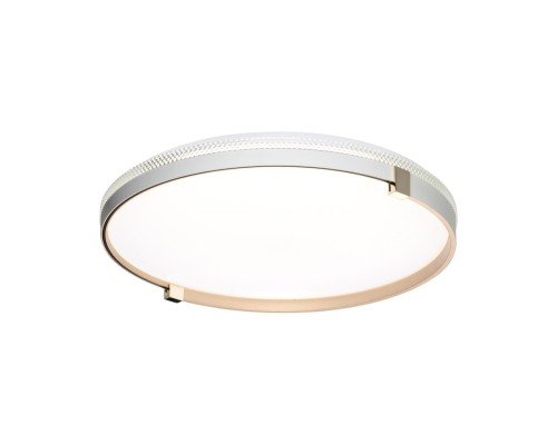 7646/ELN PALE SN 189 Светильник пластик/золотой LED 76Вт 3000/4000/6000К D490 IP43 CCT OLIDI WHITE