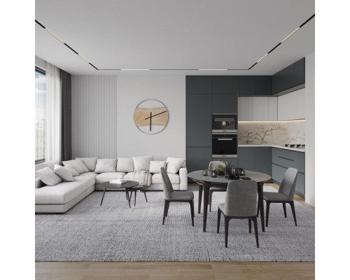 359480 SHINO NT24 134 черный Трековый низковольт. св-к диммир. со сменой цв.температуры, пульт ДУ/Tuya Smart Life IP20 LED 12W 48V 3000-6500K FLUM