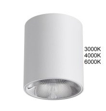 7139/12CL HIGHTECH ODL26 Потолочный светильник белый/металл IP20 LED 12W 960Лм 3000K/4000K/6000K  36° 220-240V BRIM