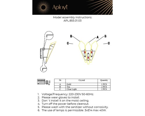 APL.855.01.03