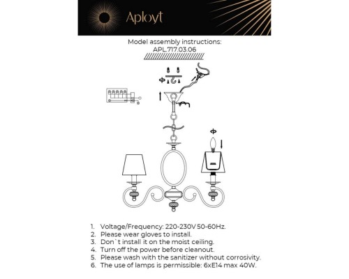 APL.717.03.06