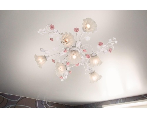 Lucia Tucci Fiori di rose 109.6.1