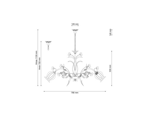 Lucia Tucci Fiori di rose 106.8