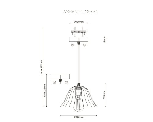 Lucia Tucci ASHANTI 1255.1