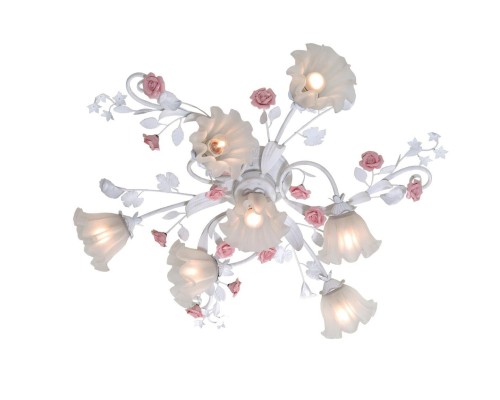 Lucia Tucci Fiori di rose 109.6.1