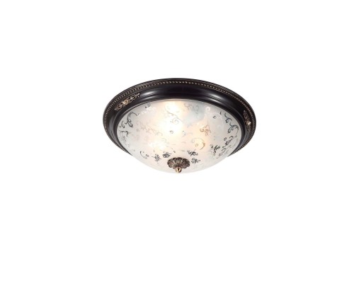 Lucia Tucci LUGO 142.3 R40 brown