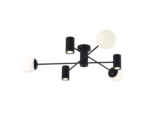 SLE1105-402-06 Светильник потолочный Черный/Белый GU10+E27 3+3*5+60W RAITO