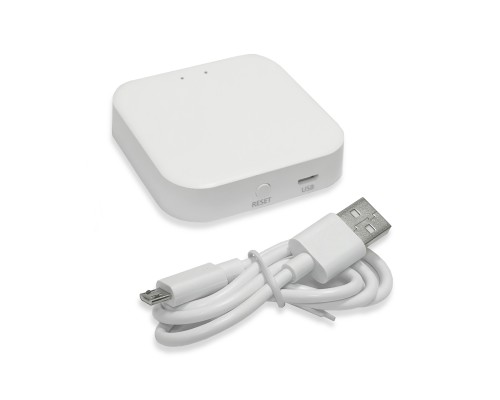 ST015.500.97.1 Wi-Fi+2,4G конвертер AROUND Белый AROUND