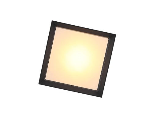 SL077.402.01 Светильник уличный потолочный ST-Luce Черный/Белый LED 1*12W 3000K CUBISTA