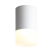 ST100.502.05 Светильник потолочный Белый LED 1*5W 3000K 390Lm Ra>80 120° D64xH110 170-240V Накладные светильники