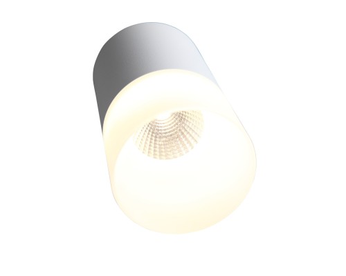 ST100.502.10 Светильник потолочный Белый LED 1*10W 3000K 780Lm Ra>80 120° D78xH135 170-240V Накладные светильники