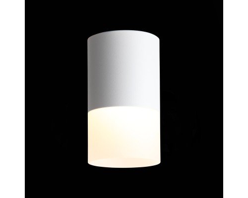 ST100.502.10 Светильник потолочный Белый LED 1*10W 3000K 780Lm Ra>80 120° D78xH135 170-240V Накладные светильники