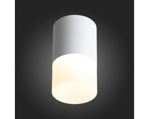 ST100.502.10 Светильник потолочный Белый LED 1*10W 3000K 780Lm Ra>80 120° D78xH135 170-240V Накладные светильники