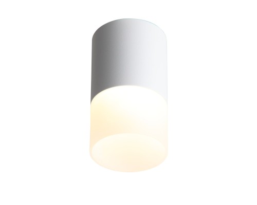 ST100.502.10 Светильник потолочный Белый LED 1*10W 3000K 780Lm Ra>80 120° D78xH135 170-240V Накладные светильники