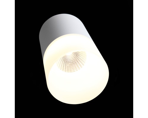 ST100.502.10 Светильник потолочный Белый LED 1*10W 3000K 780Lm Ra>80 120° D78xH135 170-240V Накладные светильники