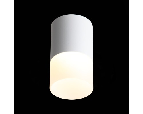 ST100.502.10 Светильник потолочный Белый LED 1*10W 3000K 780Lm Ra>80 120° D78xH135 170-240V Накладные светильники